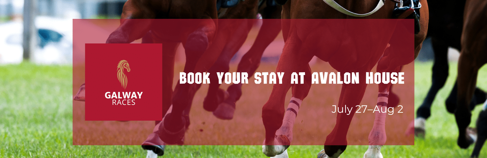 Galway Races Accommodation